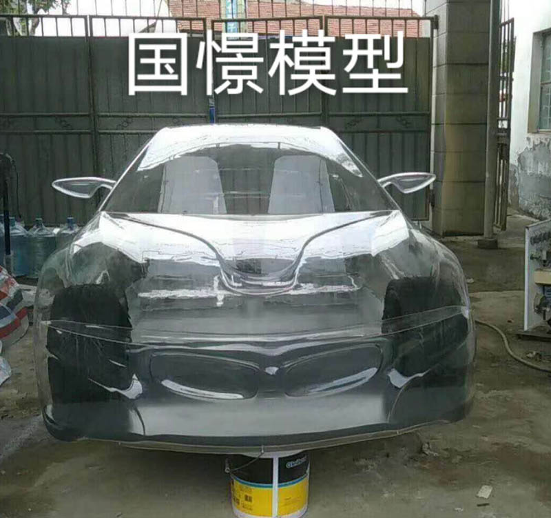 丰顺县透明车模型
