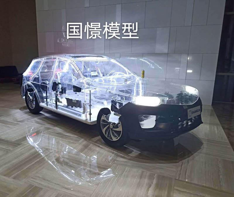 丰顺县透明车模型